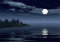 /album/resim-galerisi/b407cbcb9b66b666068ea361a5b5a241-gif1/
